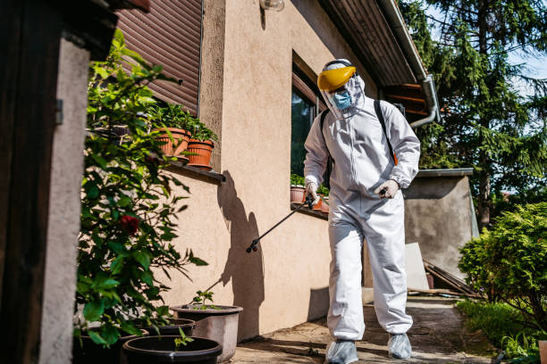  Rose Hill, VA Pest Control Pros