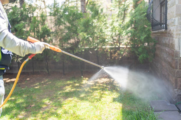 Professional Pest Control in Rose Hill, VA